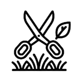 Service Icon
